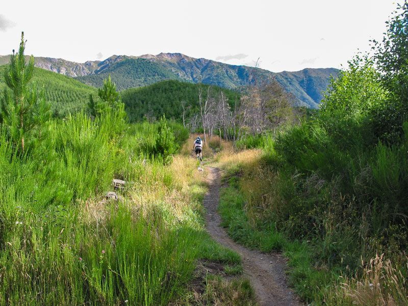Dog Stream / Jolliffe Saddle Track