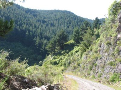 5 Fringed Hill Road