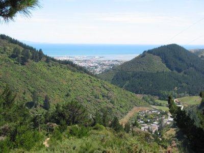 11 Dun Mountain Track