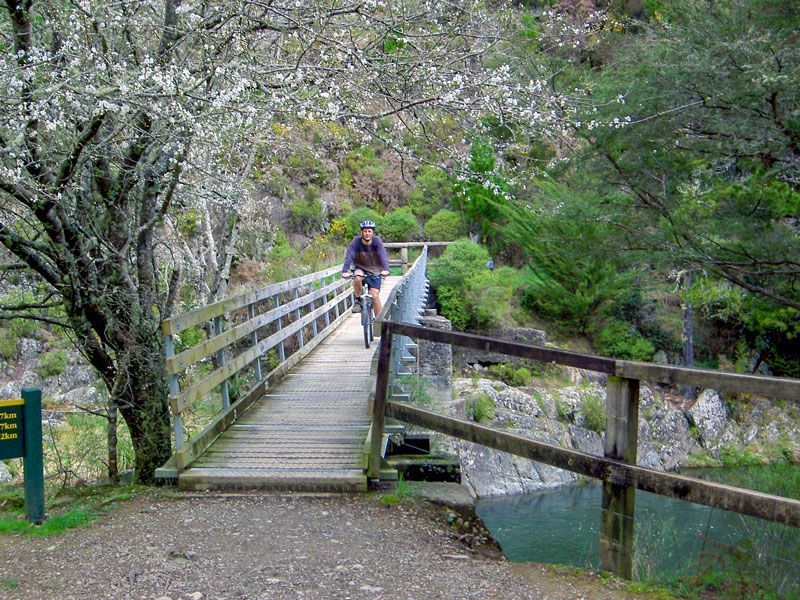 Whispering Falls / Hackett Hut Track