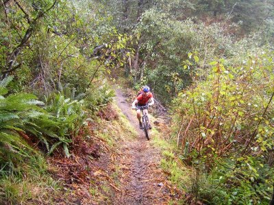 Wharfdale Track