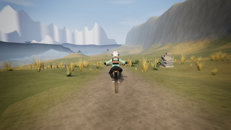 Snowgrass Saddle: a trail across a tussock basin below snowy ranges